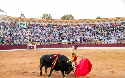 Procès contre les corridas – Suspension d’une course de taureaux par un tribunal administratif