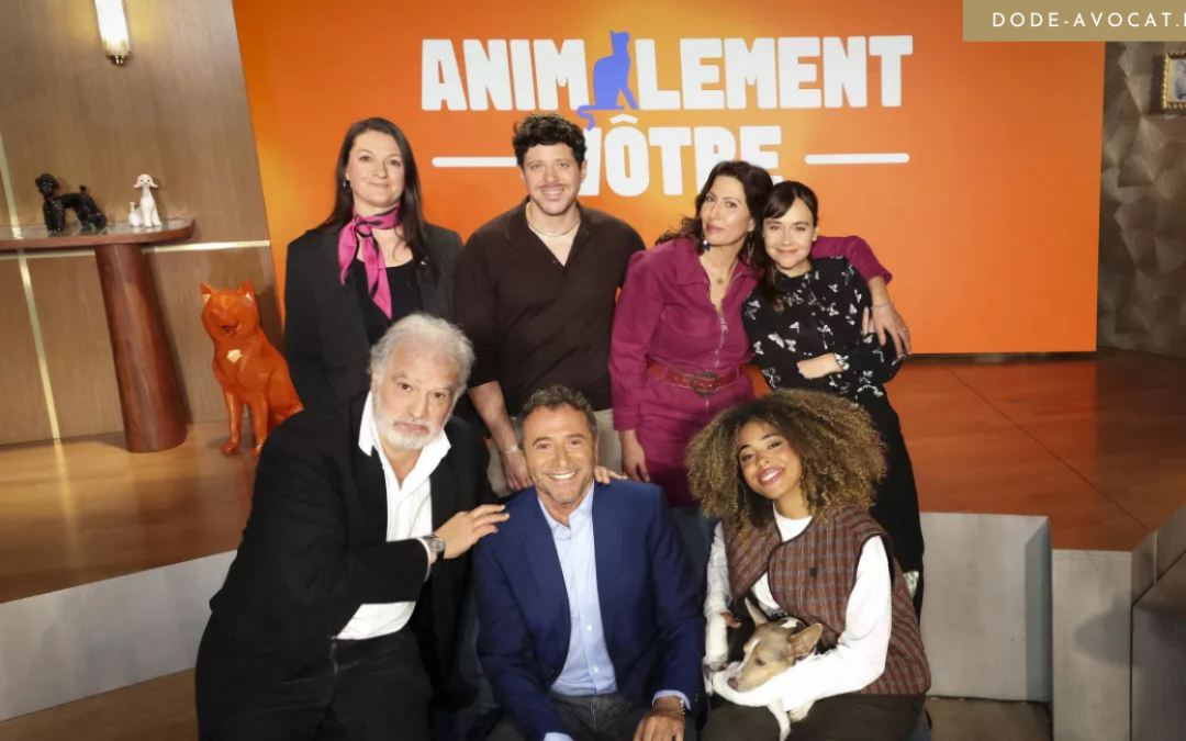 Animalement vôtre : la nouvelle émission du bien-être animal